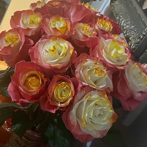 Meet your Posher, Claudia